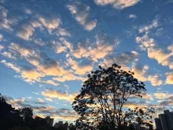 Low angle view of silhouette trees against sky during sunset