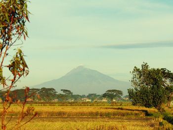 Scenic view of landscape and mountains against sky