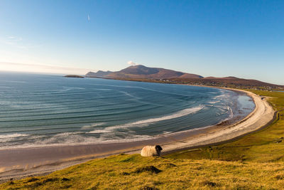 Scenic view of sea against clear blue sky