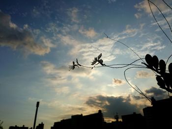 Low angle view of silhouette built structures against sky