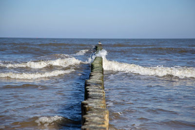 Rear view of person on sea shore against sky