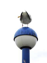 Low angle view of building