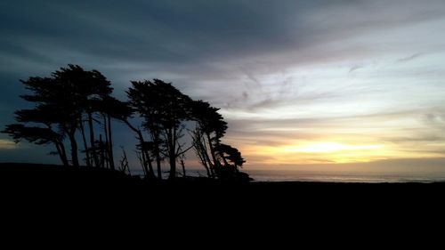 Silhouette of trees at sunset