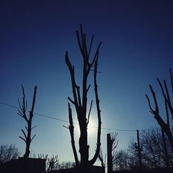 Low angle view of bare trees against blue sky