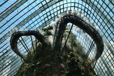 Close-up of metal grate in greenhouse