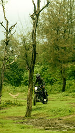 Moody morning kerala greenery 