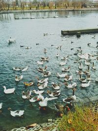 Scenic view of lake