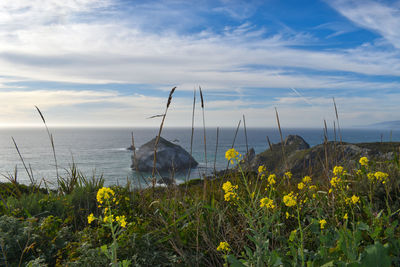 Scenic view of sea against sky