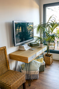 Potted plants on table at home