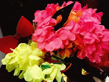 Close-up of pink rose