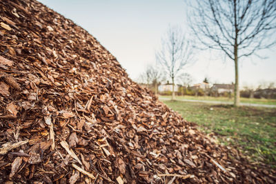 Close-up of log on field against sky