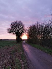 Road amidst trees on field against sky at sunset