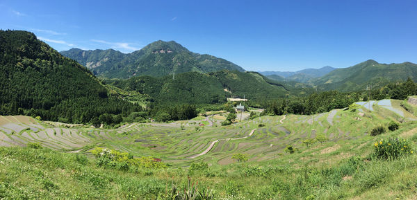 Scenic view of agricultural field against sky