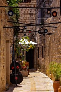 Potted plants outside house, jazz