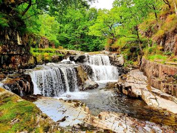 Scenic view of waterfall in forest