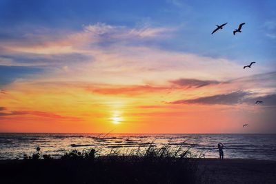 Scenic view of sunset over sea