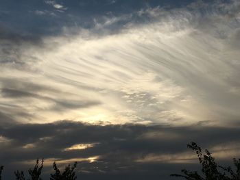 Low angle view of silhouette trees against sky