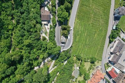 High angle view of road amidst trees