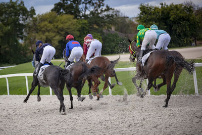 People riding horses