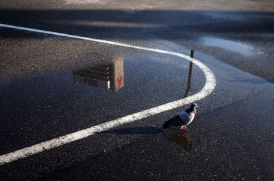 High angle view of car on road