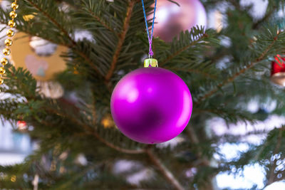 Close-up of christmas decoration hanging on tree