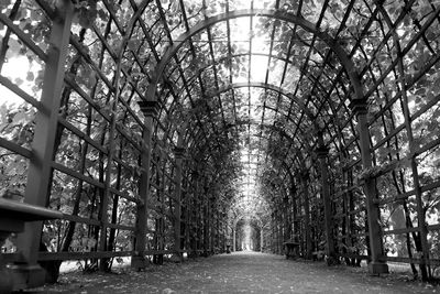 Empty footpath in park