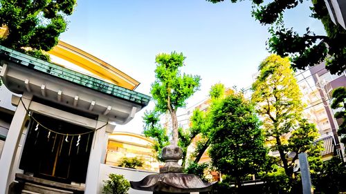 architecture