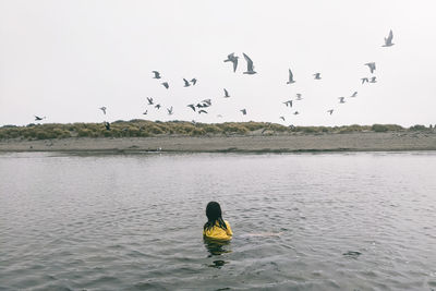 Rear view of birds flying over lake against sky