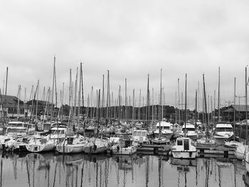 Sailboats moored in harbor