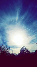 Low angle view of silhouette trees against sky