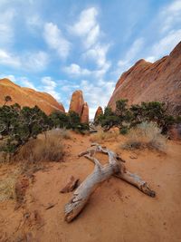 Rock formations in desert against sky