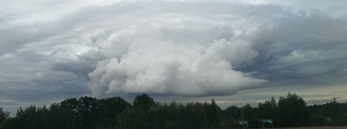 Panoramic shot of storm clouds over trees