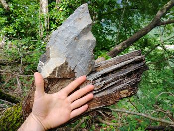 Cropped image of person holding log against trees in forest