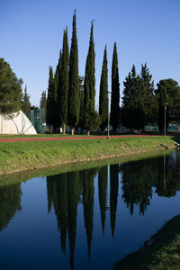 Scenic view of lake by trees against clear sky