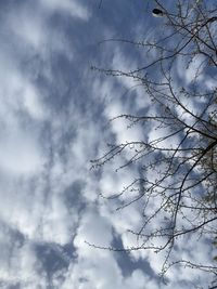 Low angle view of silhouette tree against sky