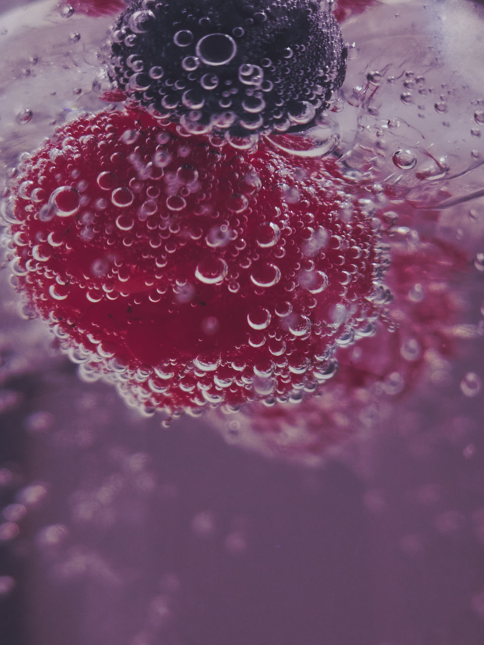 CLOSE-UP OF WET PINK FLOWER