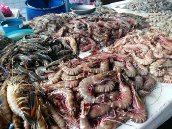 Close-up of fish for sale in market