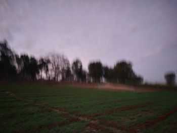 Trees on field against sky