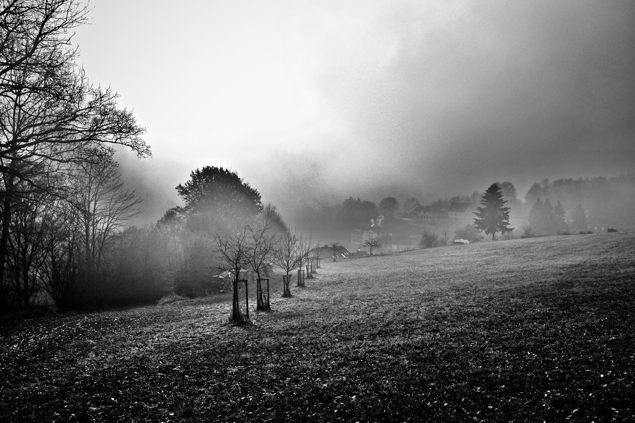 PEOPLE ON LANDSCAPE