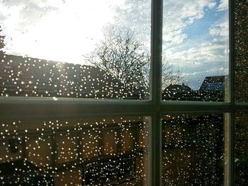 View of trees against sky