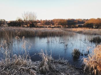 Scenic view of lake against clear sky