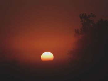 Silhouette tree against orange sky