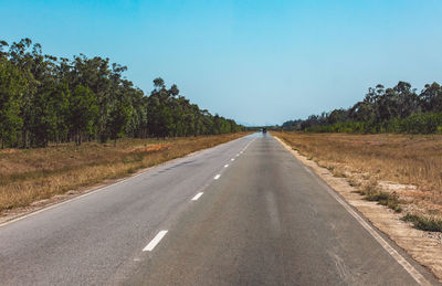 Road by trees against sky