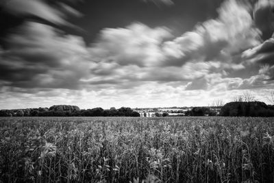 Scenic view of field against cloudy sky