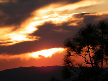 Low angle view of silhouette trees against dramatic sky