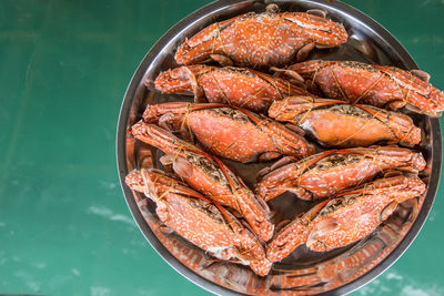 High angle view of fish in container on table
