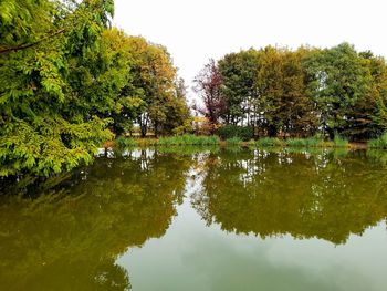 Scenic view of lake by trees against sky