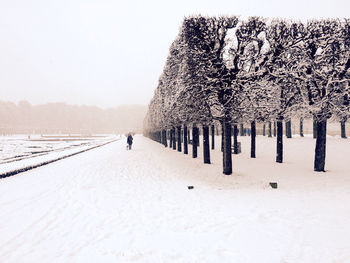 Man walking on snow covered landscape