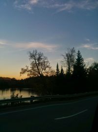 Bare trees at sunset