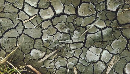 Full frame shot of cracked wall